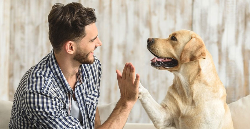 ¿Pueden los perros pensar como las personas?