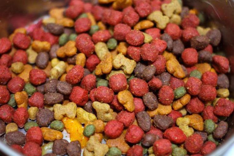 Alimentos Rodnye para perros