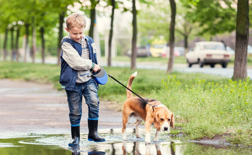 El paseo del perro realizado por un niño