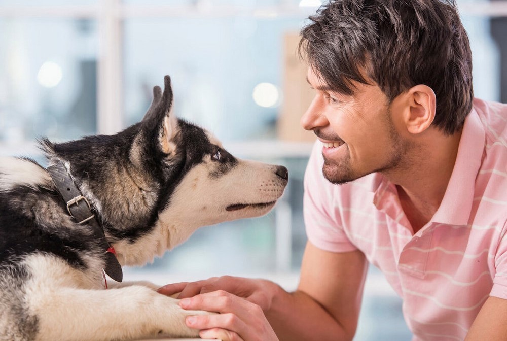 Perro cerca del joven