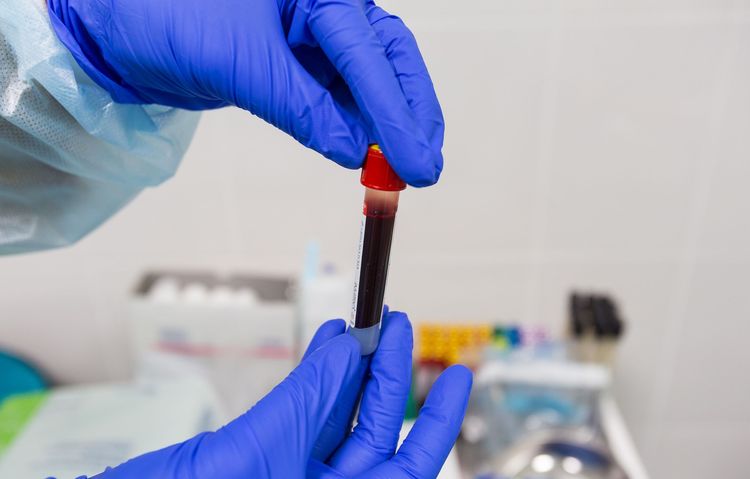 Extracción de sangre a un perro