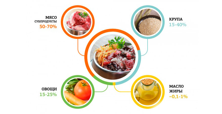 Alimentación natural del perro