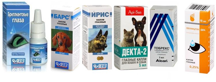 Gotas oftálmicas para gatos