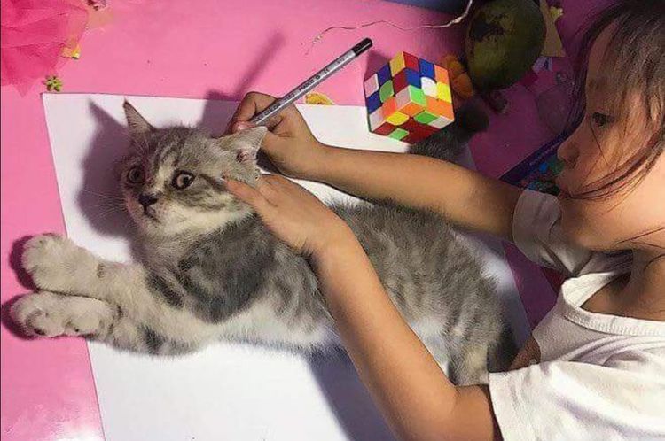 Wie zeichnet man eine Katze