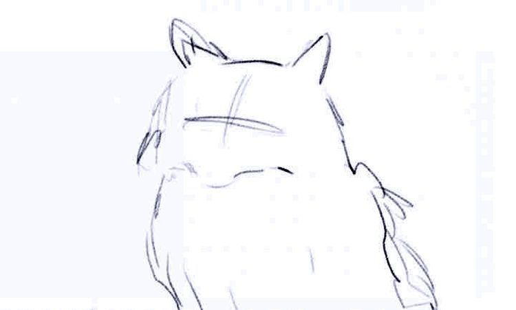 Wie man eine flauschige Katze zeichnet