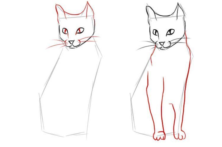 Wie man eine sitzende Katze in voller Größe zeichnet