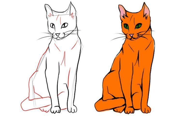 Wie man eine sitzende Katze in voller Größe zeichnet