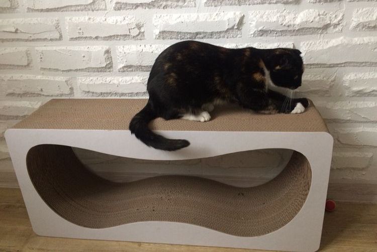 El gato afila sus garras en un rascador de cartón