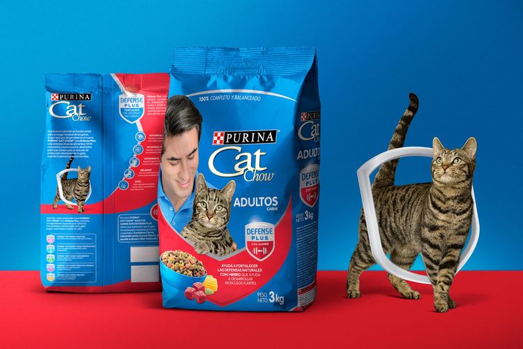 Comida para gatos Cat Chow