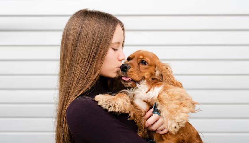 Búsqueda de un perro por su marca