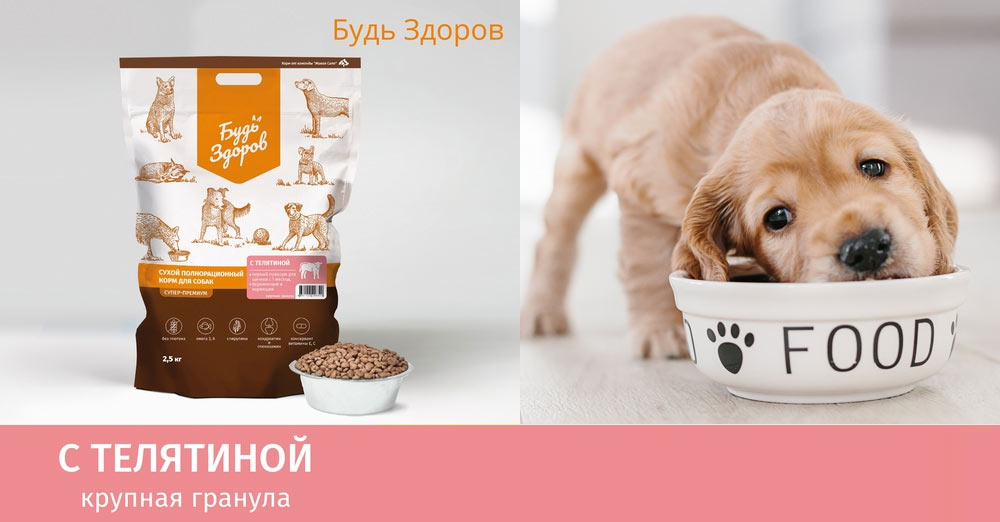 Alimento Bud Zdorov con ternera