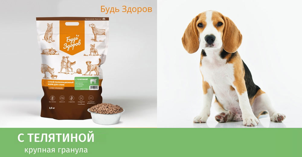 Alimento Bud Zdorov con ternera para perros jóvenes