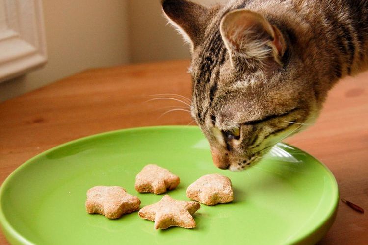Golosinas para gatos