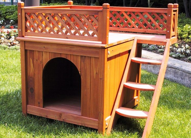 lesenka-dlya-sobak-melkih-porod-kakuyu-vybrat-12 Tipos de escaleras para perros de razas pequeñas