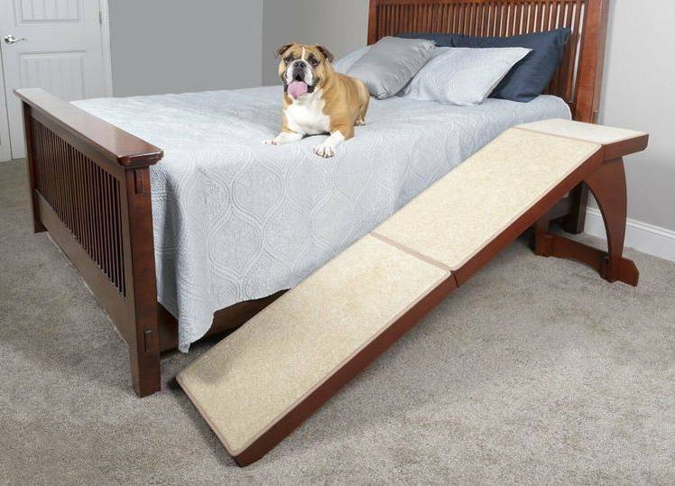 lesenka-dlya-sobak-melkih-porod-kakuyu-vybrat-13 Tipos de escaleras para perros de razas pequeñas