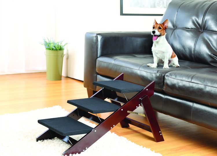 lesenka-dlya-sobak-melkih-porod-kakuyu-vybrat-14 Tipos de escaleras para perros de razas pequeñas