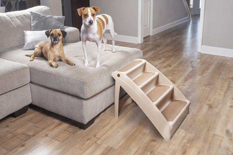 Escalera de plástico para perros
