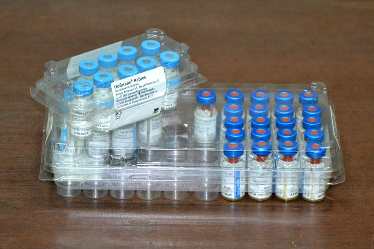 Nobivac para gatos