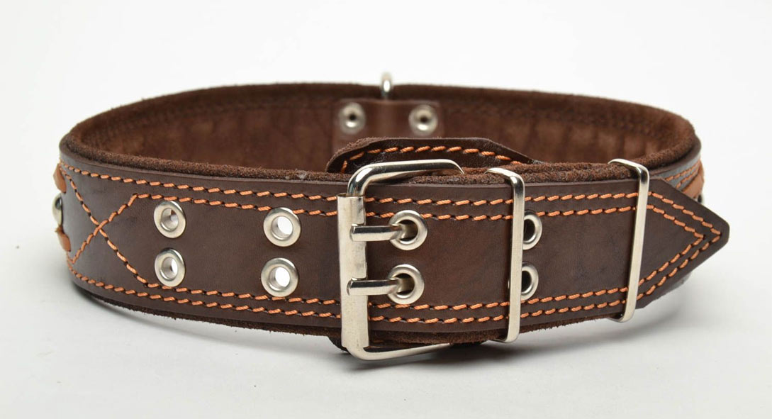 collar para perro