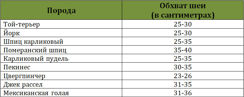 Tamaño del collar para perros: tabla para razas medianas