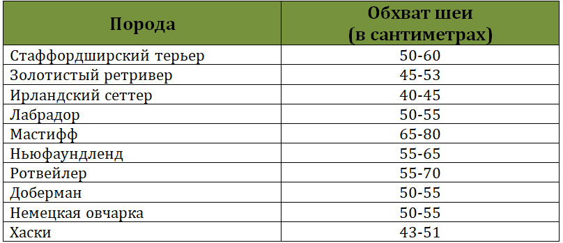 Tamaño del collar para perros: tabla para razas grandes