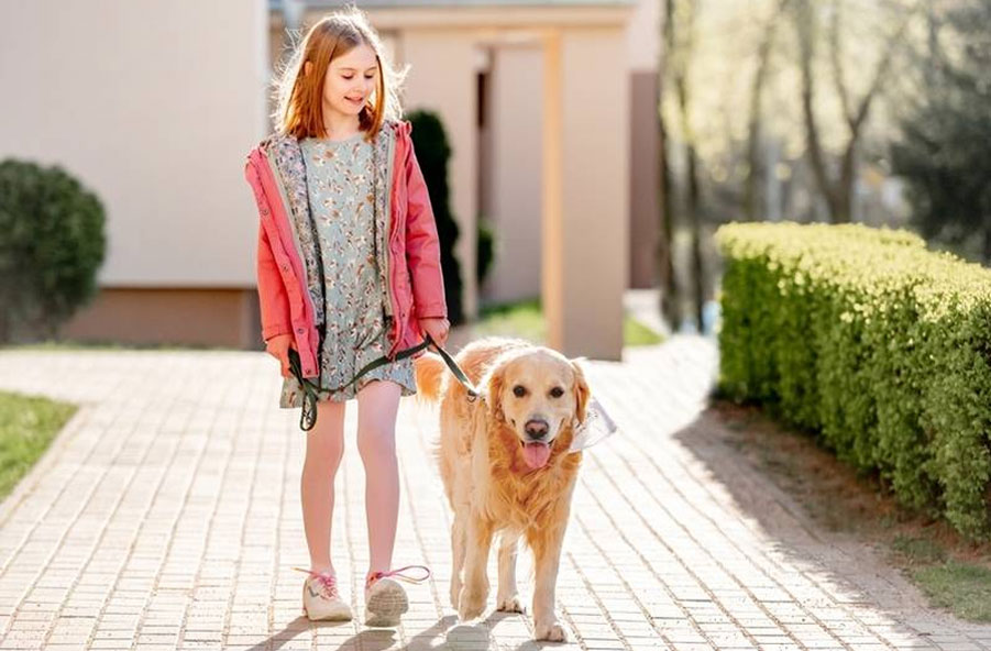 por qué el perro puede no querer pasear con otra persona