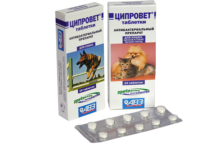 Ciprovet