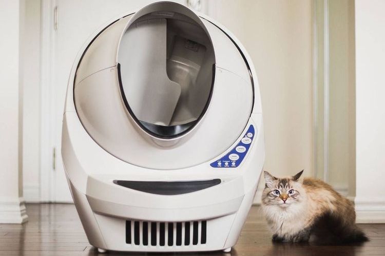 Inodoro para gatos autolimpiable