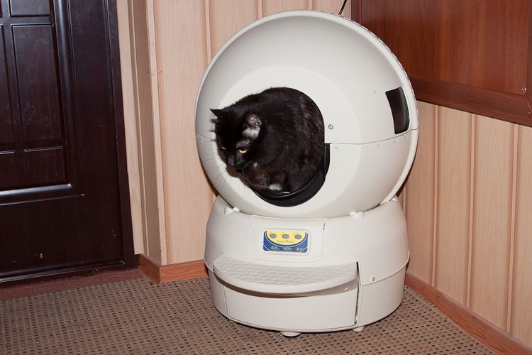 Arenero autolimpiable para gatos