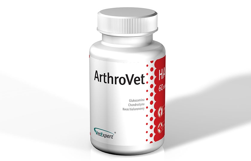 Chondroitin-Komplex für Hunde