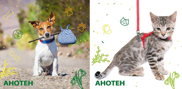 Anoten para perros y gatos