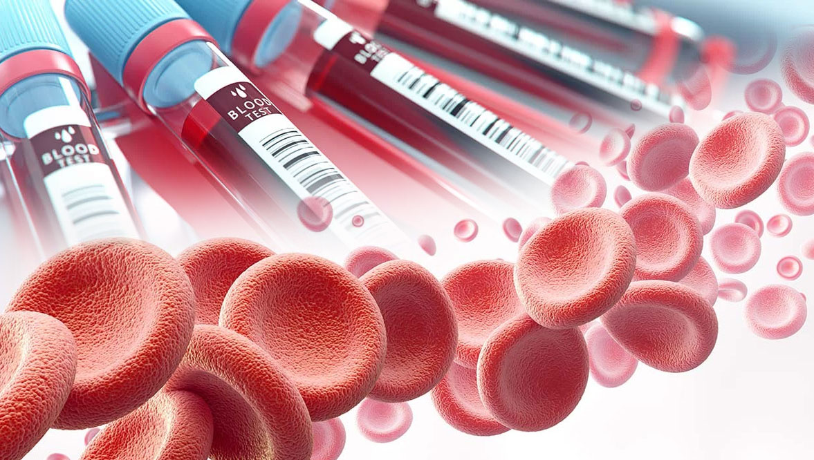 Eritrocitos en la sangre