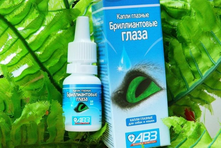 Augentropfen für Hunde "Brilliant Eyes"