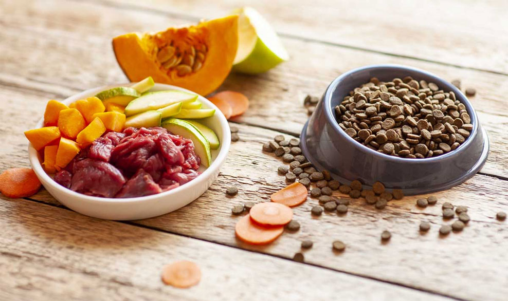 Opciones de dieta canina