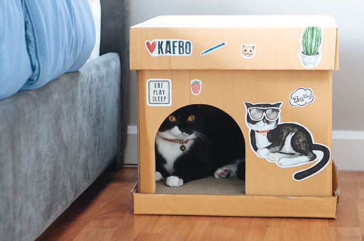 Casa de cartón para gatos