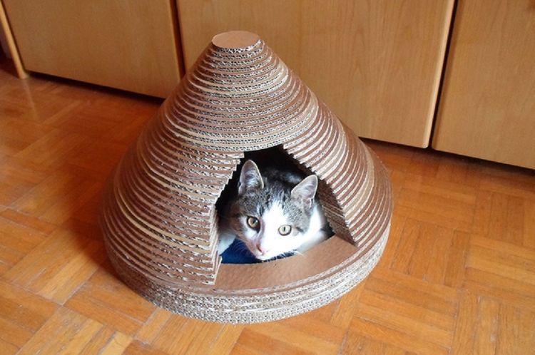 Tipi hecho con círculos de cartón