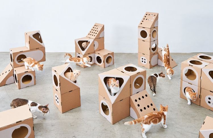 Casitas de cartón para gatos