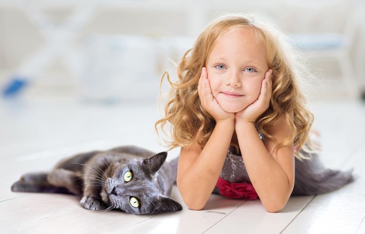 Niña y gatito gris