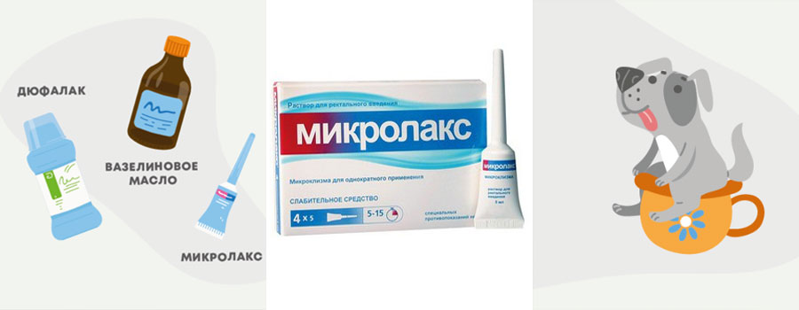 Microenemas para perros