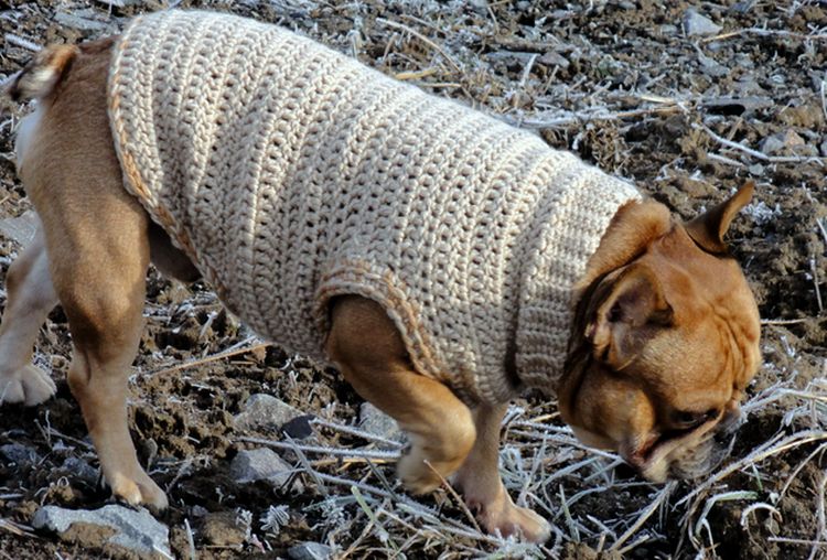 Jersey para perro a ganchillo