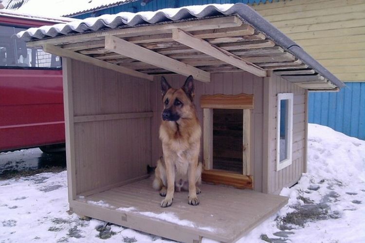 Caseta cálida para perro