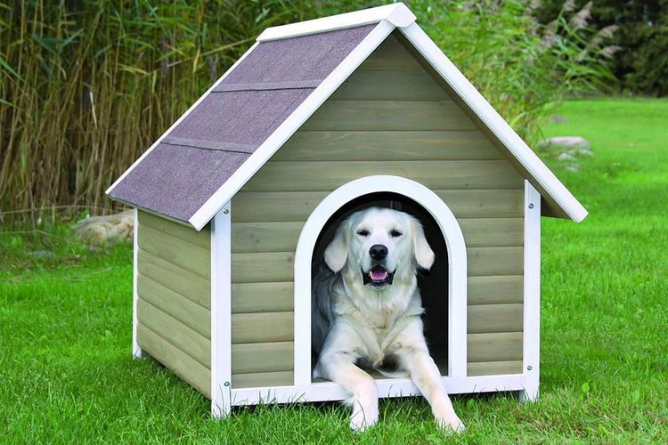 Revestimiento de la caseta para perros