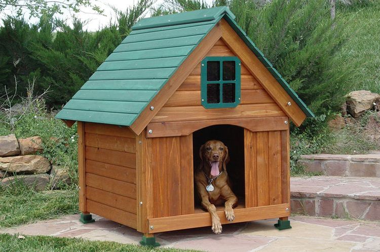 Caseta para perro