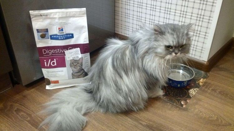 Alimento Hills ID para gato