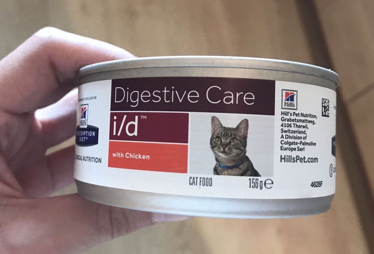Conservas Hills ID para gatos