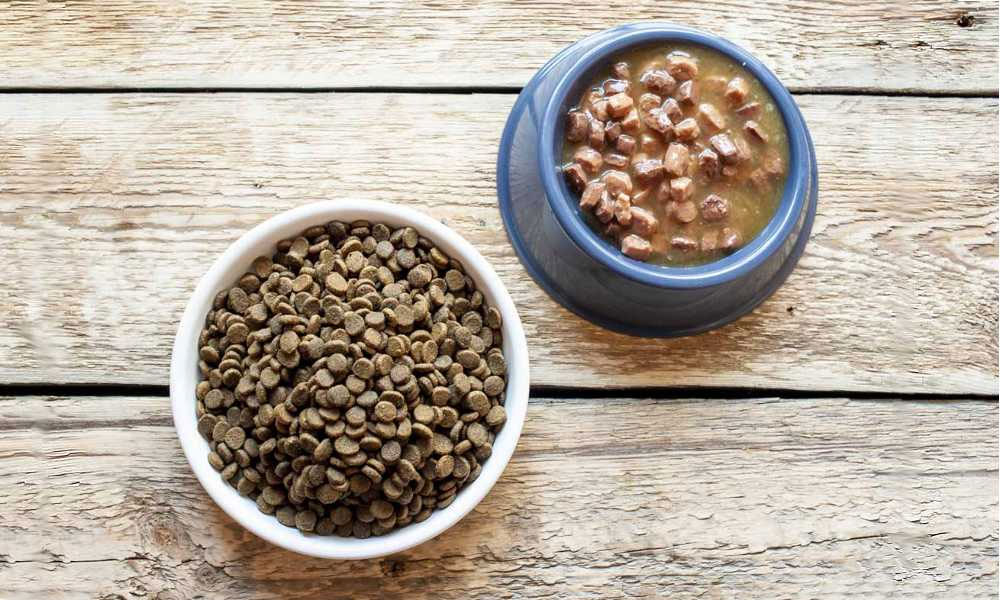Alimento seco y húmedo para perros