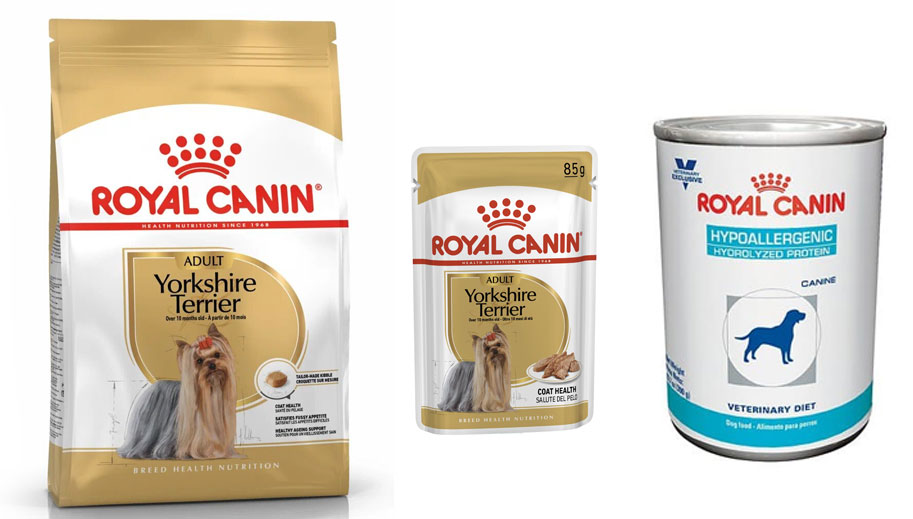 Pienso seco y húmedo Royal Canin