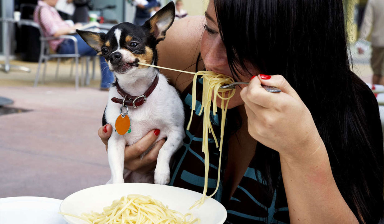 perro y dueña comiendo pasta