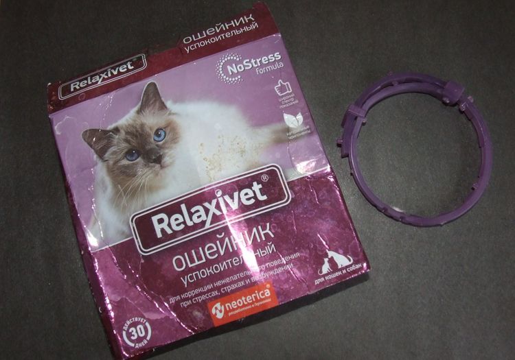 Relaxivet para gatos