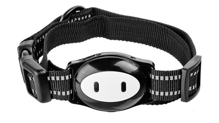 Collar GPS para gatos MonkeyG Dest D79